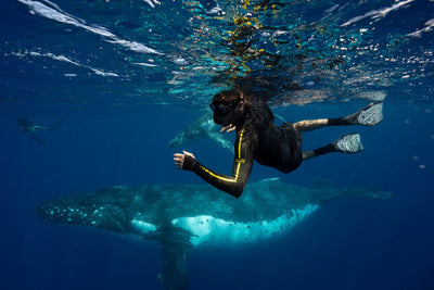 Swim with the whales in Vava'u Tonga - 2026