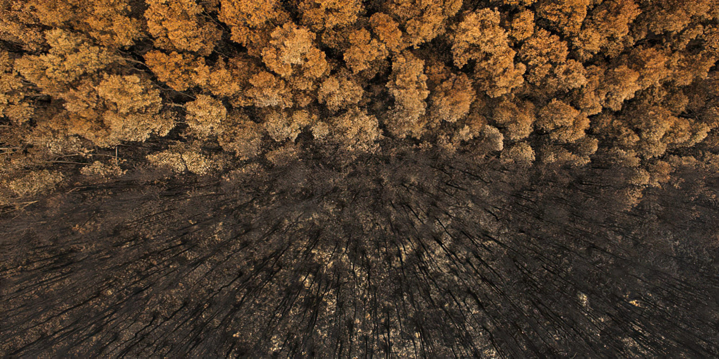 International Landscape Photograph of the Year 2014 | Life and Death