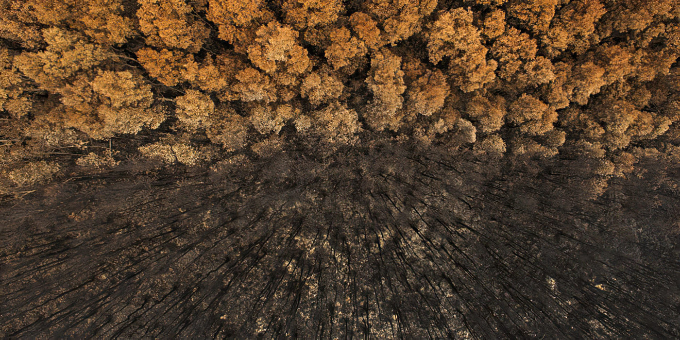 Craig Parry Takes Out Top International Award for Aerial Bushfire Photo