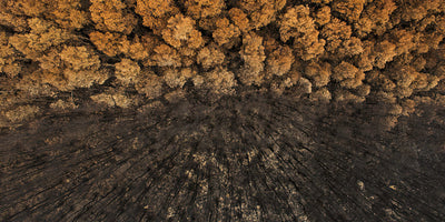Craig Parry takes out top international award for aerial bushfire photo