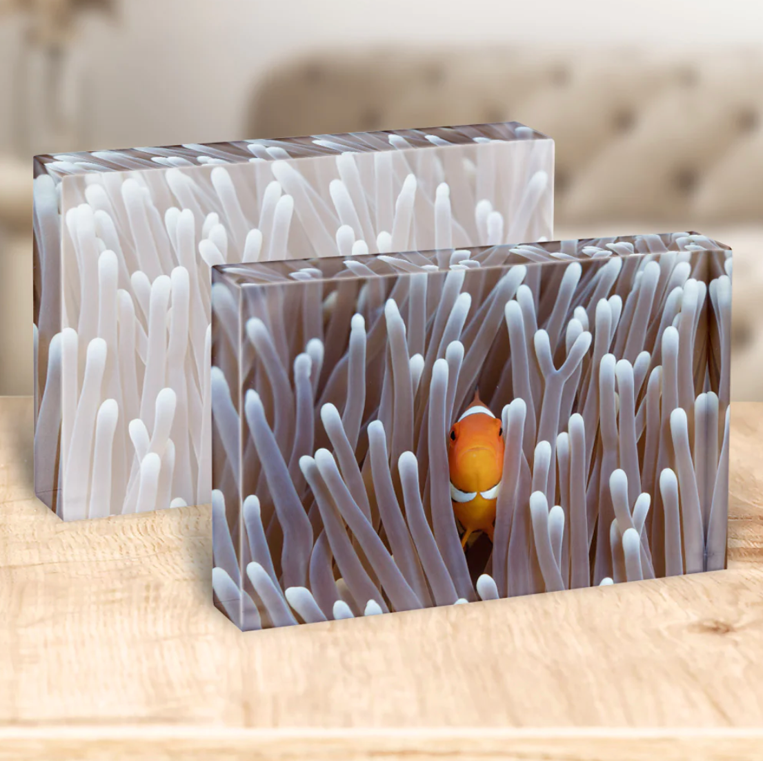 Why acrylic blocks are the perfect gift for the photography lover