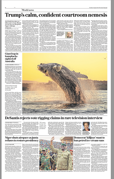 Byron Bay whale photographs feature in London papers