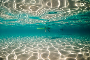 Byron bay Underwater Photography wall art and prints