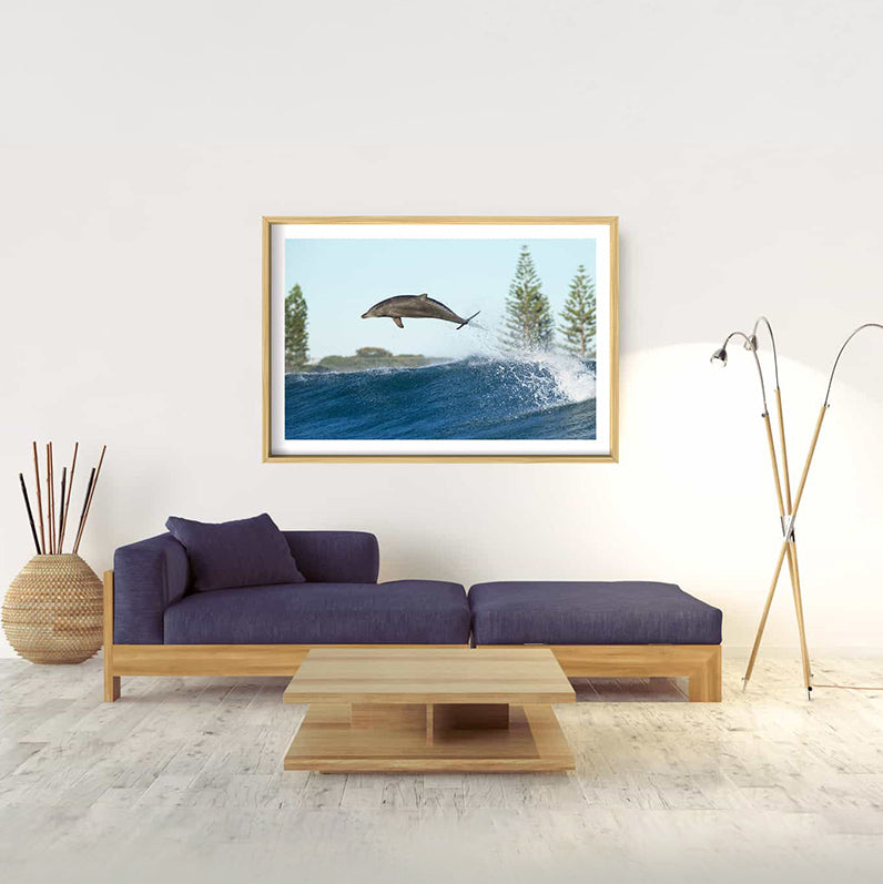 Boost | Byron Bay – Wildlife Photography Prints & Frames