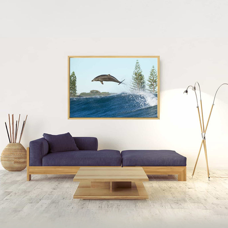 Boost | Byron Bay – Wildlife Photography Prints & Frames
