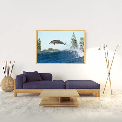 Boost | Byron Bay – Wildlife Photography Prints & Frames