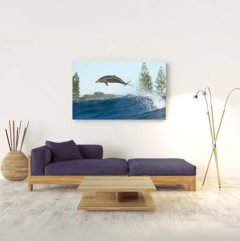 Boost | Byron Bay – Wildlife Photography Prints & Frames