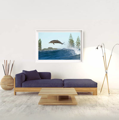 Boost | Byron Bay – Wildlife Photography Prints & Frames