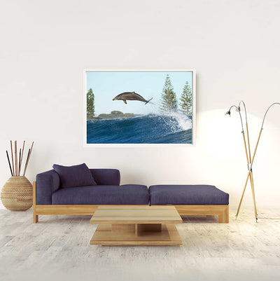 Boost | Byron Bay – Wildlife Photography Prints & Frames