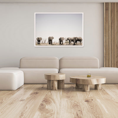 Bulls on Parade | Africa – Wildlife Photography
