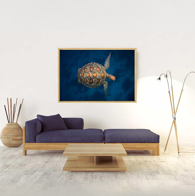 Stunning Ocean Photography Turtle Art Prints and Frames