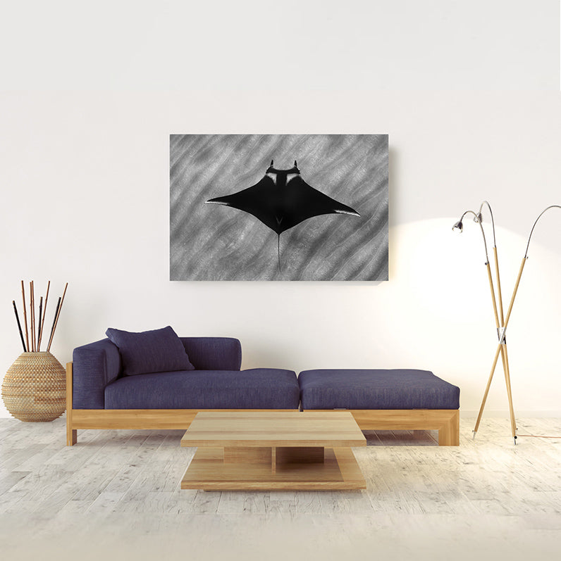 Giant Manta | Mexico – Wildlife Photography Prints & Frames