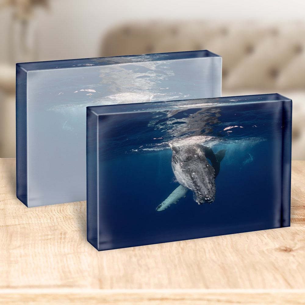 Eye Spy | Tonga – Acrylic Block
