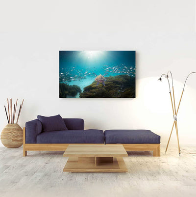 Follow | Byron Bay – Ocean Photography Art Print