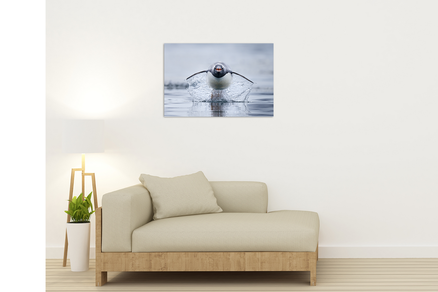 Gen Too | Antarctica – Wildlife Photography