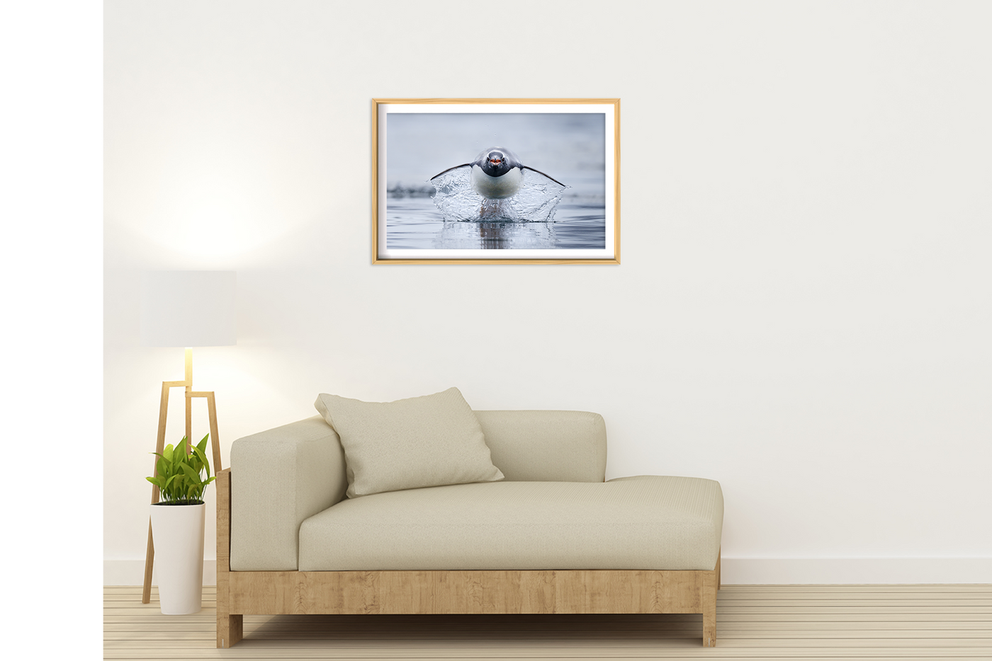 Gen Too | Antarctica – Wildlife Photography