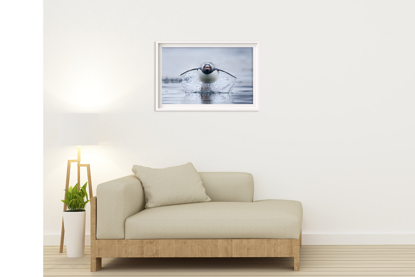 Gen Too | Antarctica – Wildlife Photography