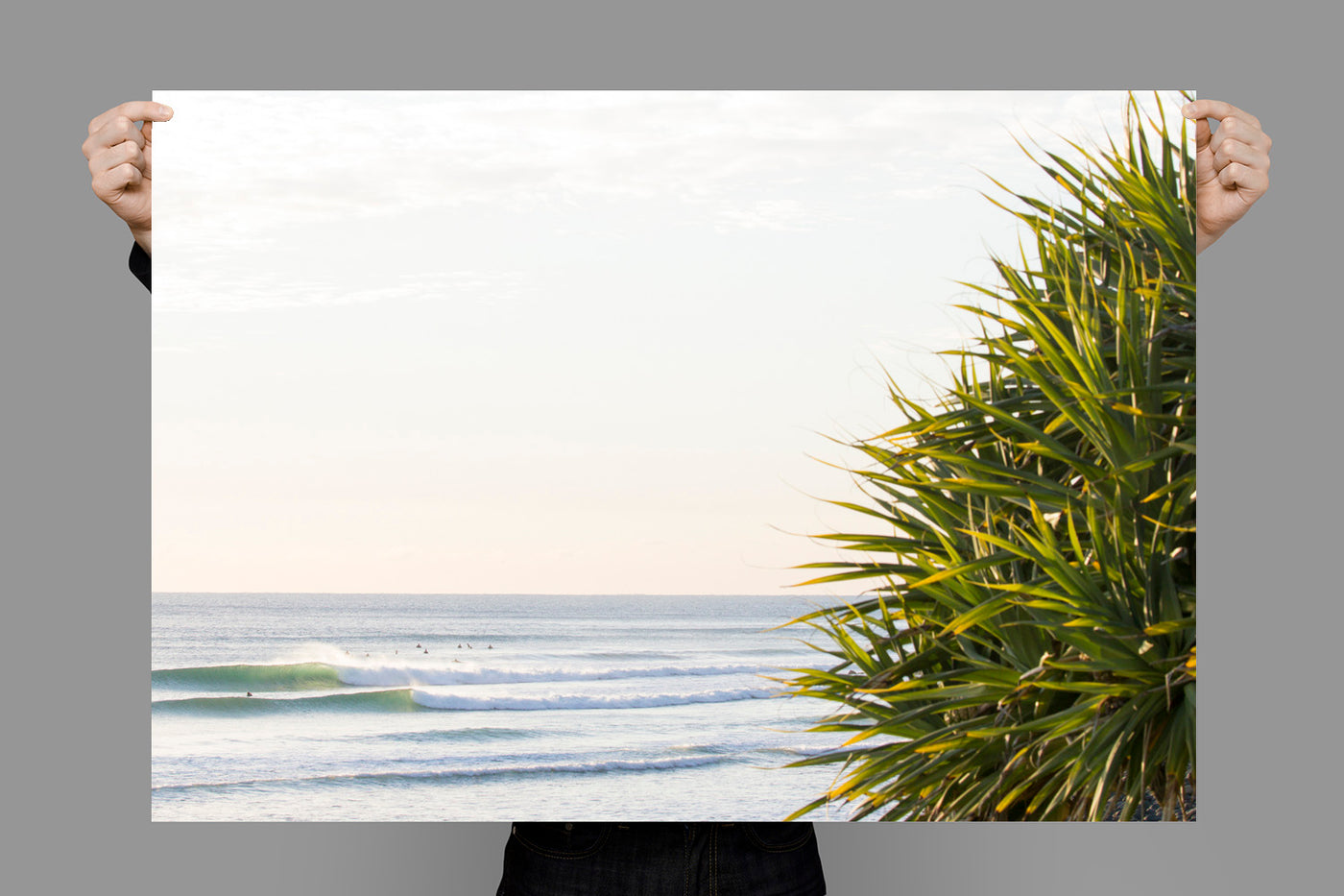 Pandanus Lines | Lennox Head – Landscape Photography