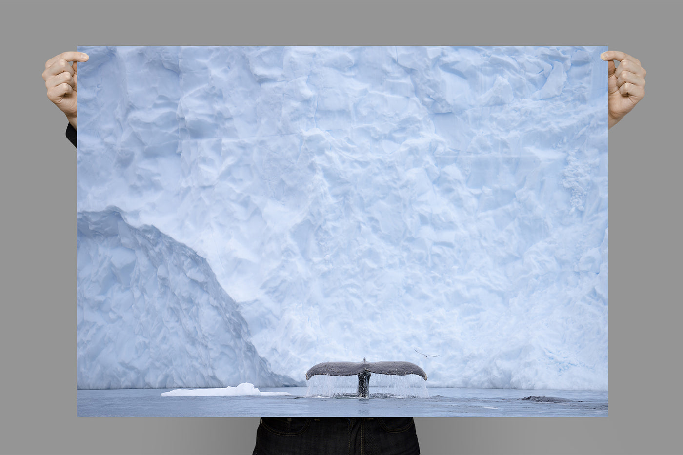 Paradise Bay | Antarctica – Landscape Photography