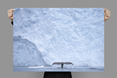 Paradise Bay | Antarctica – Landscape Photography