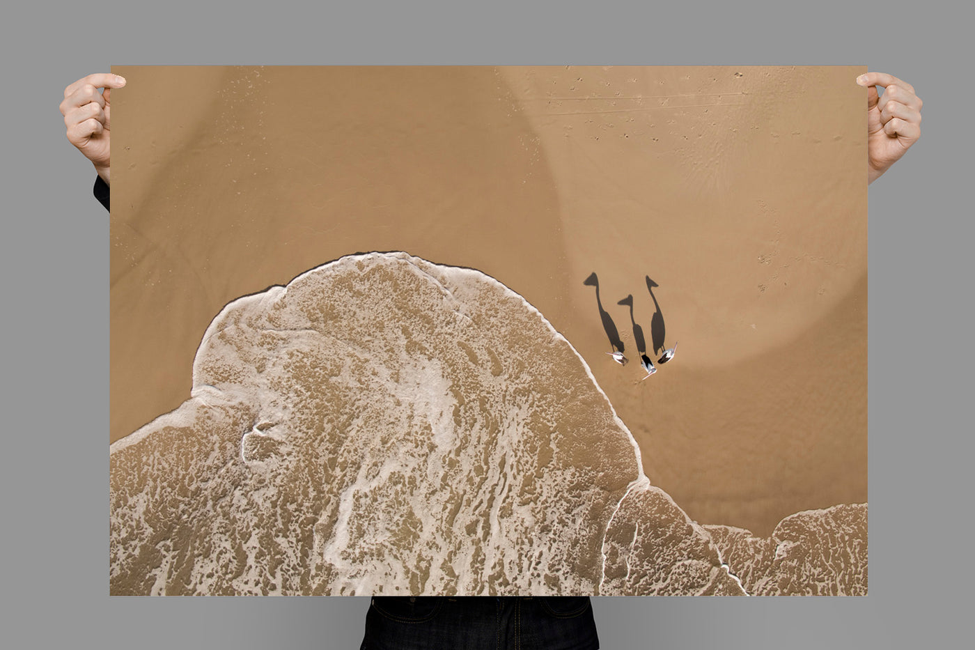 Peli Crew | Byron Bay – Wildlife Photography