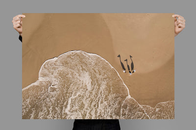 Peli Crew | Byron Bay – Wildlife Photography