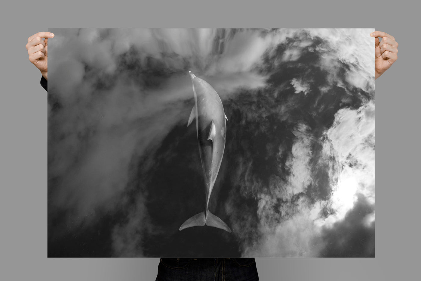 Sea to Sky (Black and White) | Byron Bay – Wildlife Photography