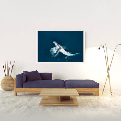 Slap | Byron Bay – Wildlife Photography