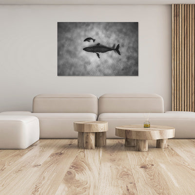 Sleepy Heads | Tonga – Wildlife Photography Prints & Frames
