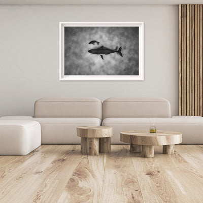 Sleepy Heads | Tonga – Wildlife Photography Prints & Frames