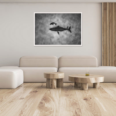 Sleepy Heads | Tonga – Wildlife Photography Prints & Frames