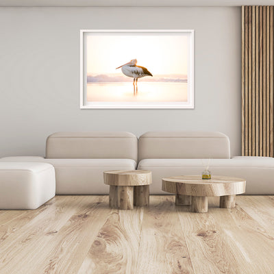 Sunny | Byron Bay – Wildlife Photography