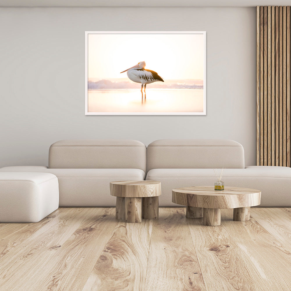 Sunny | Byron Bay – Wildlife Photography