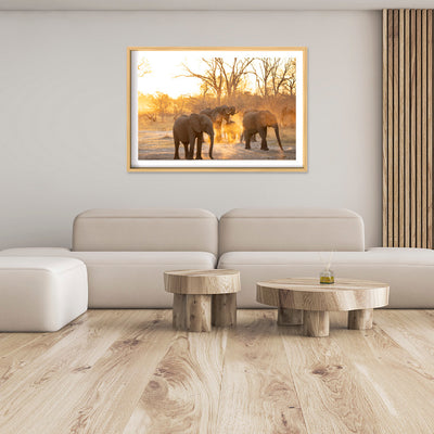 Sunset Crew | Africa – Wildlife Photography