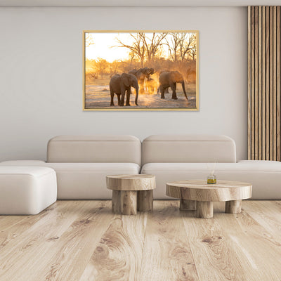 Sunset Crew | Africa – Wildlife Photography