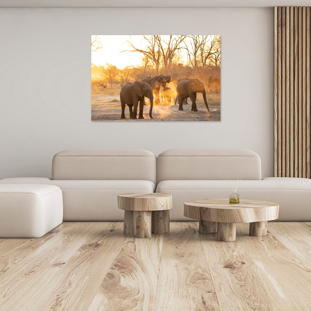 Sunset Crew | Africa – Wildlife Photography