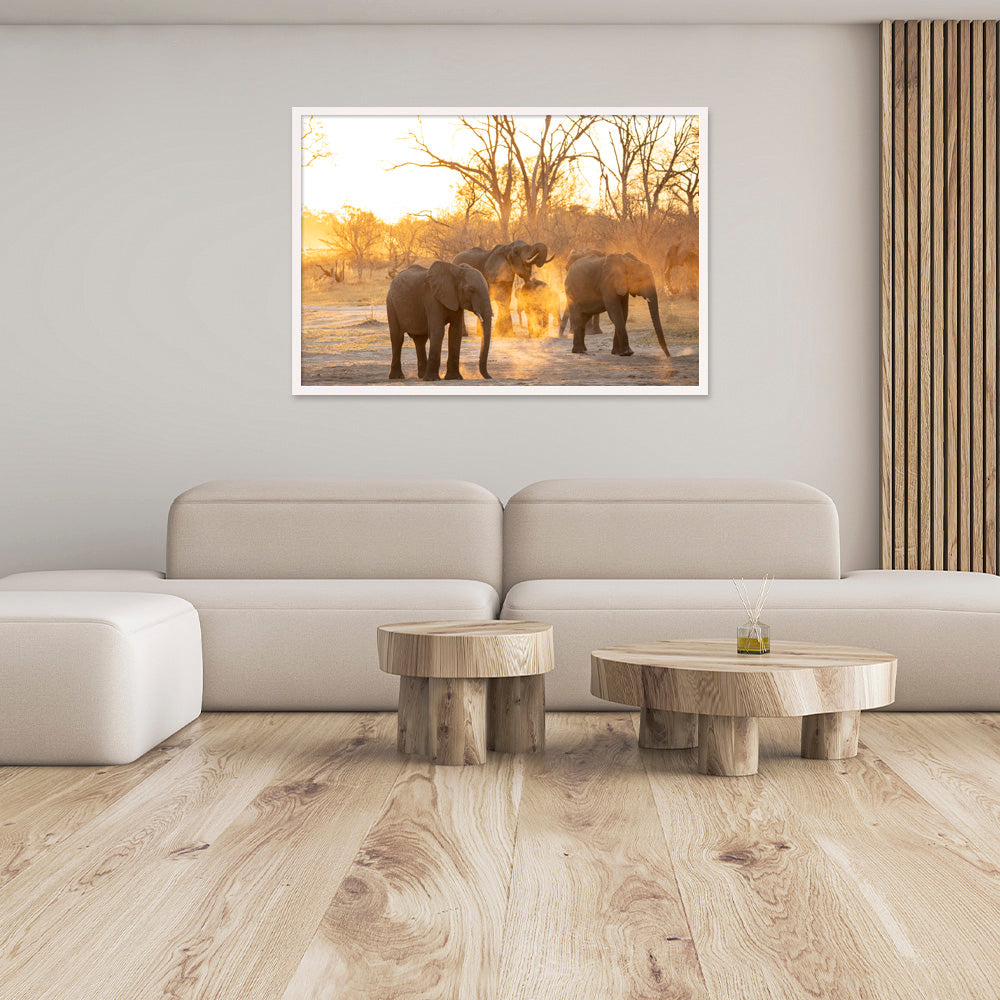 Sunset Crew | Africa – Wildlife Photography