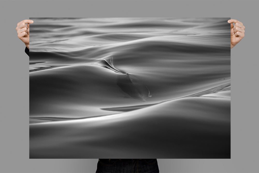 Surface Tension | Byron Bay – Wildlife Photography