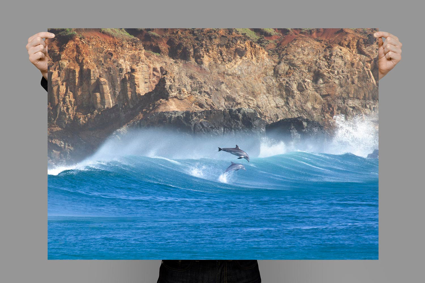Synchronised | Lennox Head – Wildlife Photography