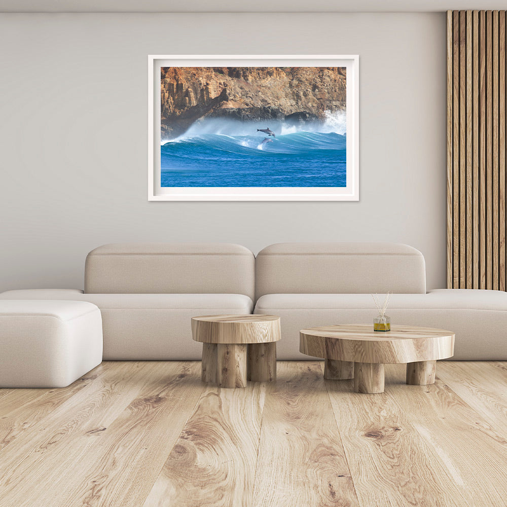 Synchronised | Lennox Head – Wildlife Photography