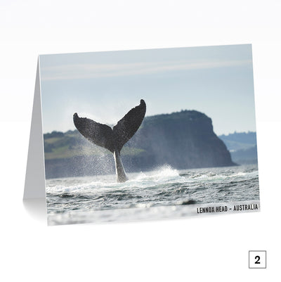 Lennox Head Greeting Cards – 5 Pack