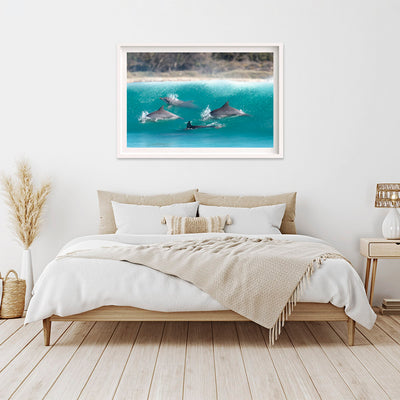 Tallows Crew | Byron Bay – Wildlife Photography