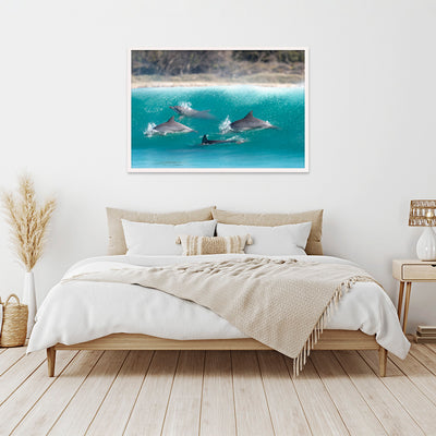 Tallows Crew | Byron Bay – Wildlife Photography