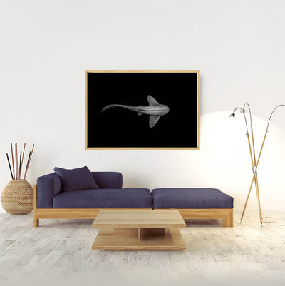 The Leopard | Byron Bay – Wildlife Photography Art Prints and Frames